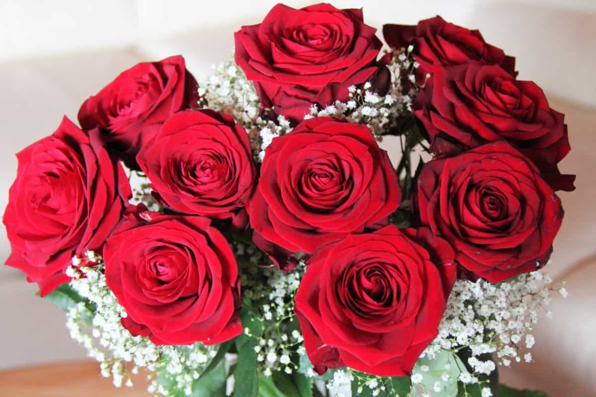 bouquet roses rouge